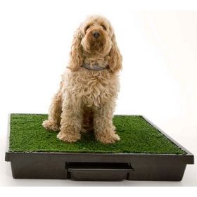 Petsafe Pet Loo Dog Potty Training System