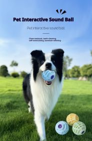 Pet Interactive Sound Ball, Dog Cat Pet Voice Ball,Interactive Pet Squeaky Toys (Color: Blue)